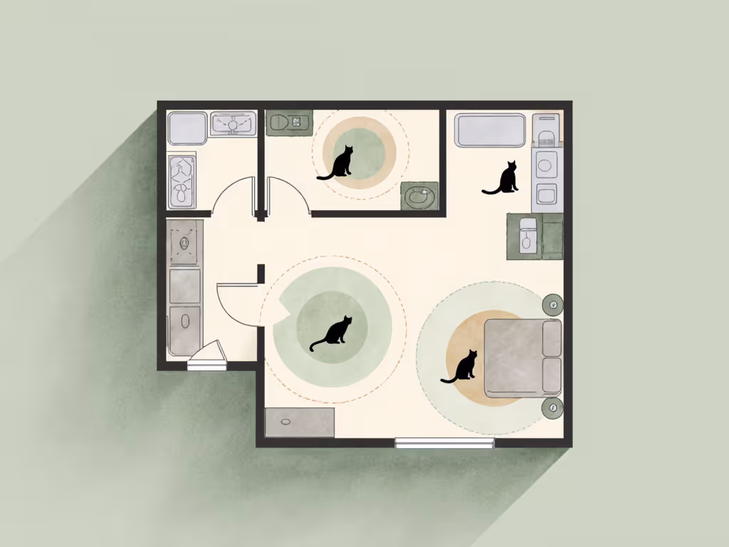 behavioral_map_of_cat_feeding_zones_in_small_apartment