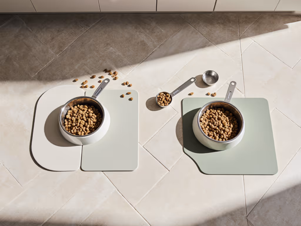 cat_feeding_zone_layout_example