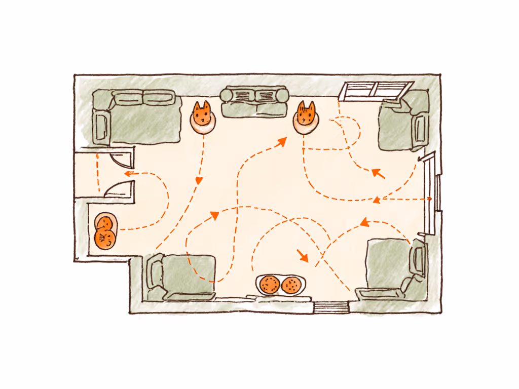 hand-drawn_cat_feeding_map_showing_pathways_and_sightlines